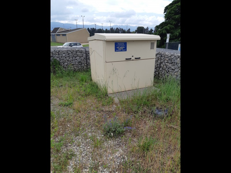 Discover<br/>the second clue picure