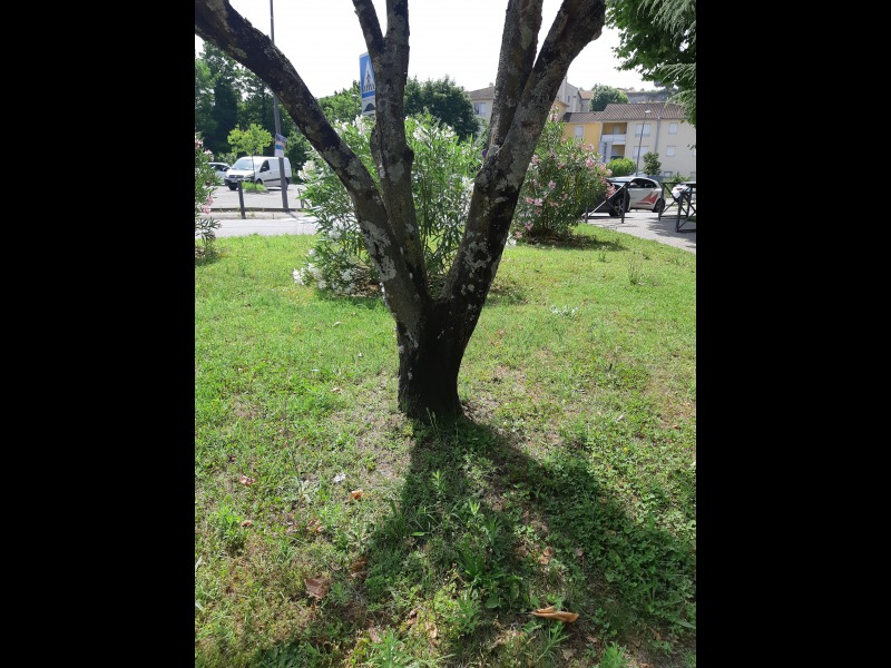 Discover<br/>the second clue picure