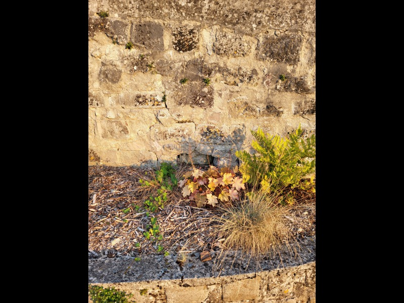Dcouvrir<br/>le second indice photo