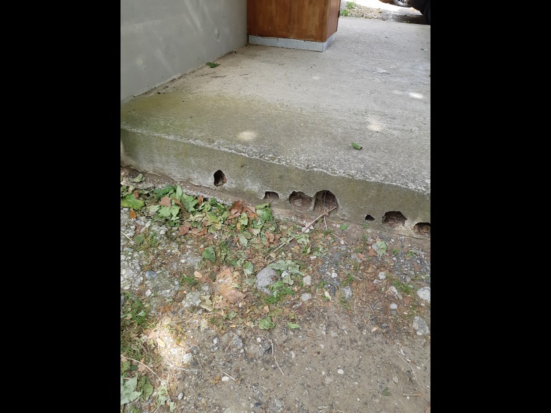 Discover<br/>the second clue picure