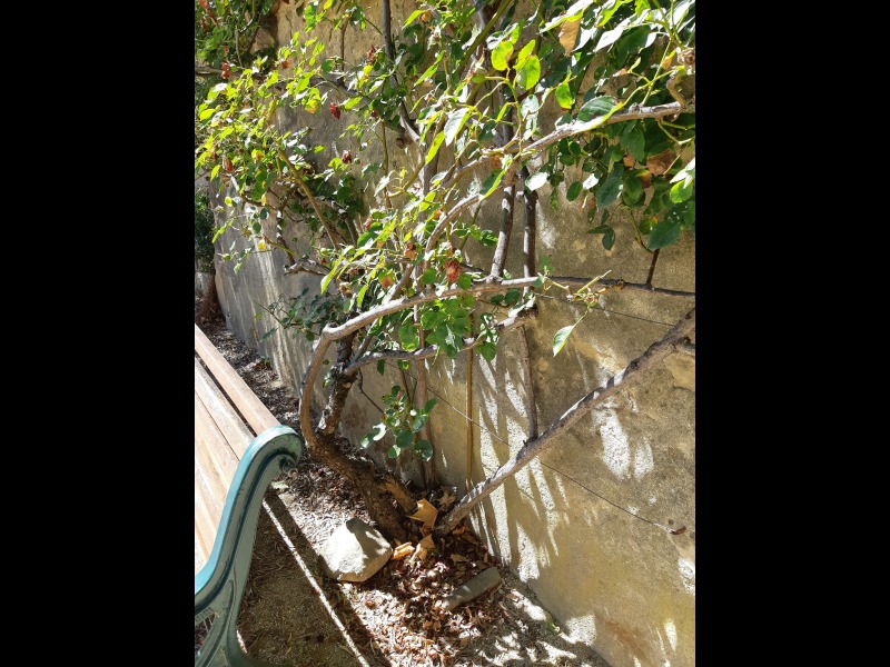 Discover<br/>the second clue picure