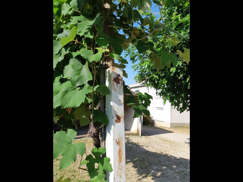 Discover<br/>the second clue picure