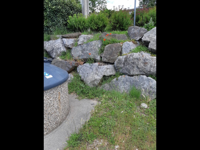 Discover<br/>the second clue picure