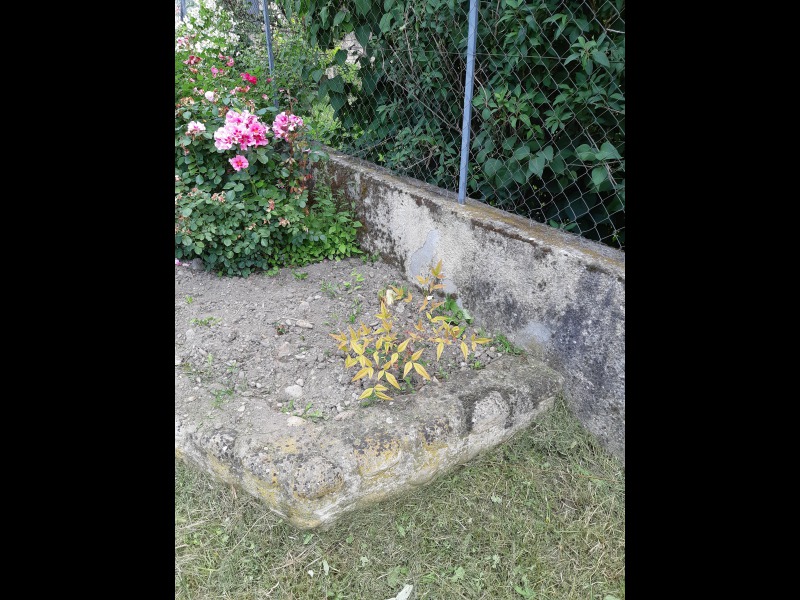 Discover<br/>the second clue picure