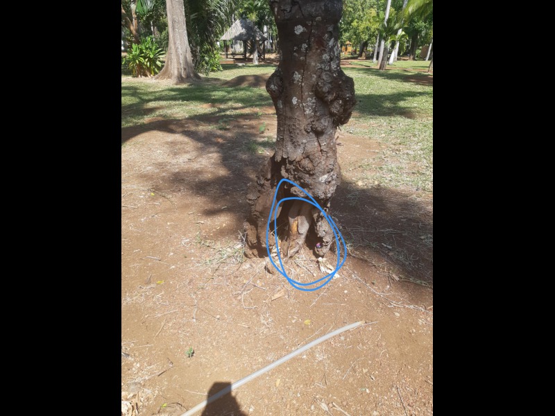 Dcouvrir<br/>le second indice photo