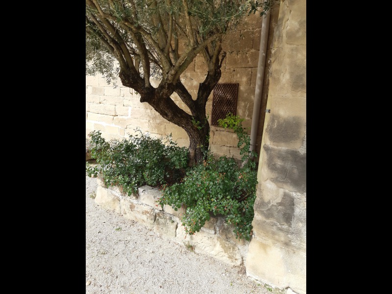Discover<br/>the second clue picure