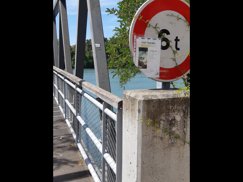 Dcouvrir<br/>le second indice photo