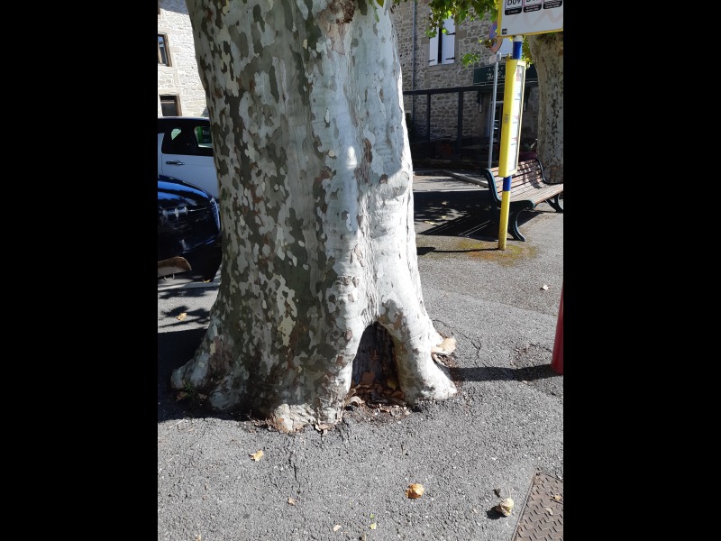 D�couvrir<br/>le second indice photo