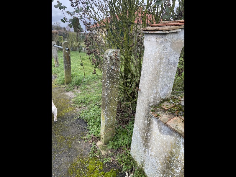 Discover<br/>the second clue picure