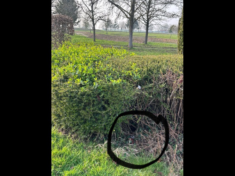 Discover<br/>the second clue picure