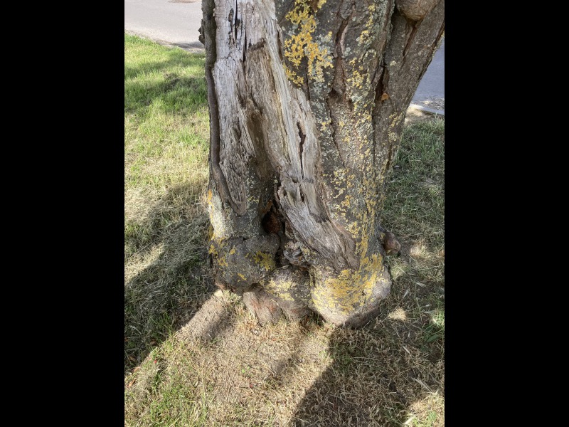 Discover<br/>the second clue picure