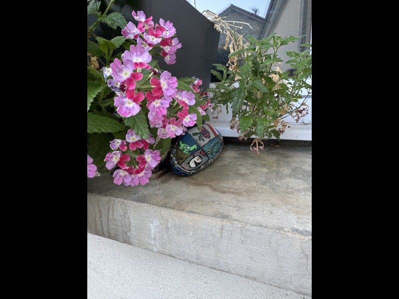 D�couvrir<br/>le second indice photo