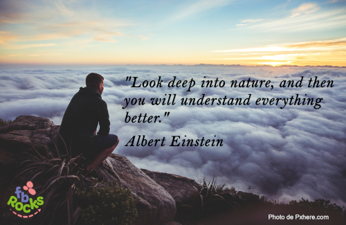 Albert Einstein quote Look deep into nature, and then you will understand everything better