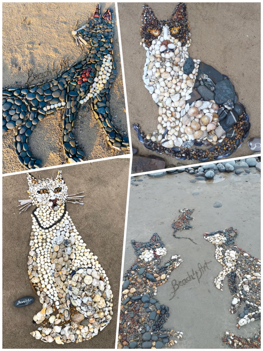 Beach4art Cats