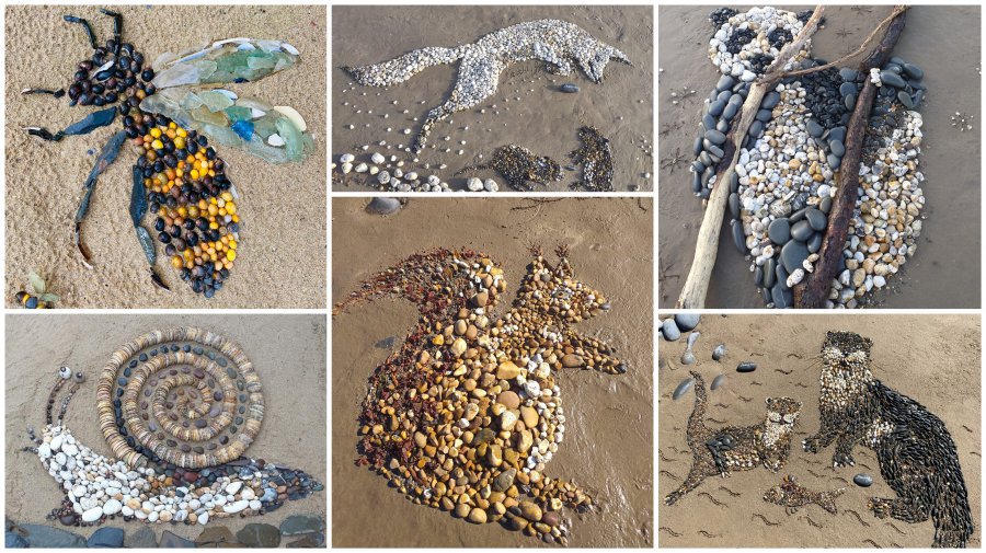 Various animals Beach4art