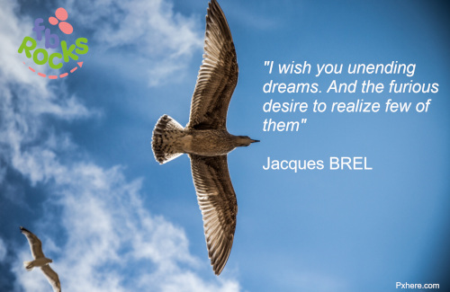 Jacques Brel quote I wish you unending dreams. And the furious desire to realize few of them