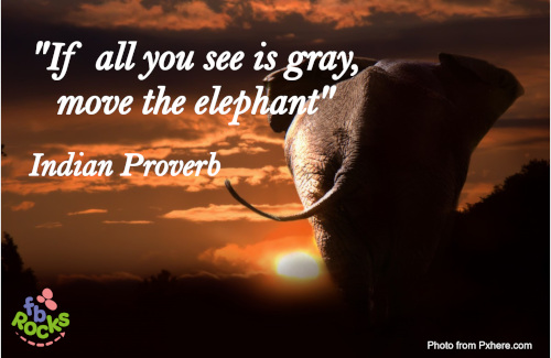 Indian Proverb If all you see is gray, move the elephant