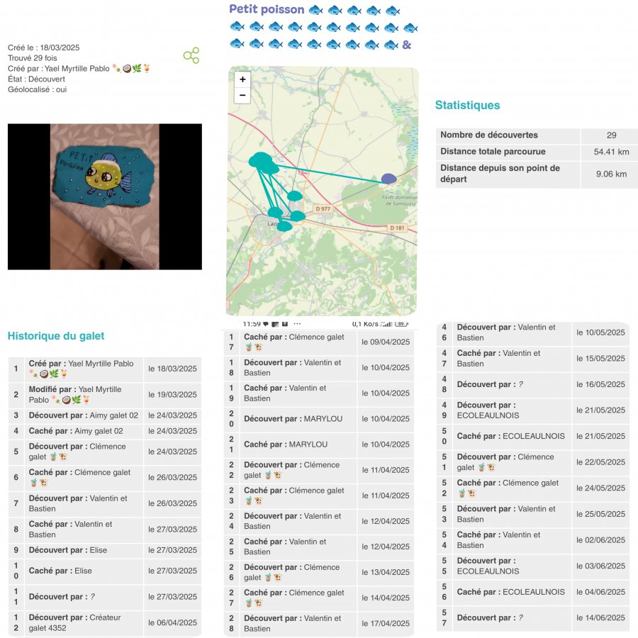 Galet peint record voyage