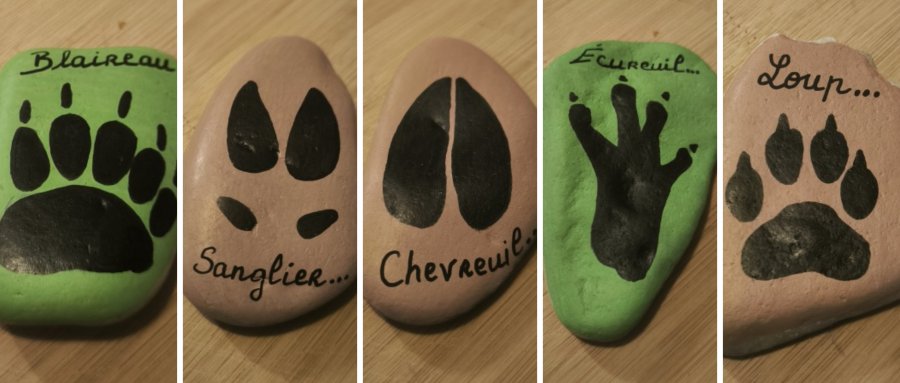 Jeu Empreinte animaux